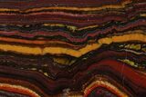 Polished Tiger Iron Stromatolite Slab - Billion Years #185916-1